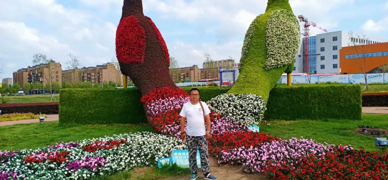 尘埃的第一张照片--辽源残疾人相亲网